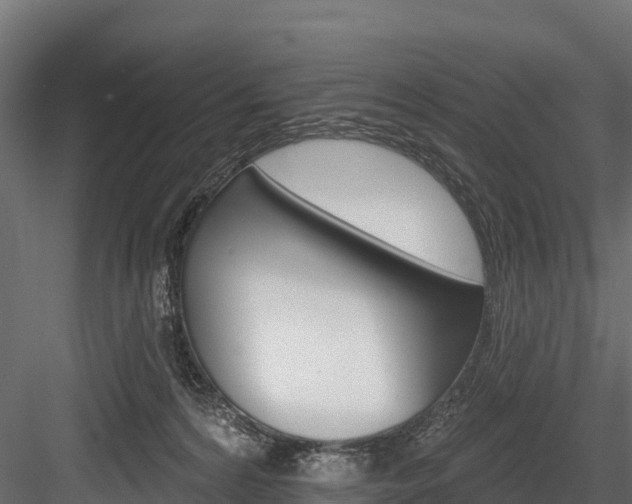 X0000084560224200702231010