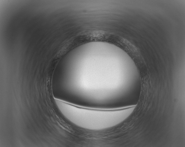 X0000084560225200702231010