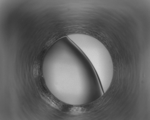 X0000084560227200702231010