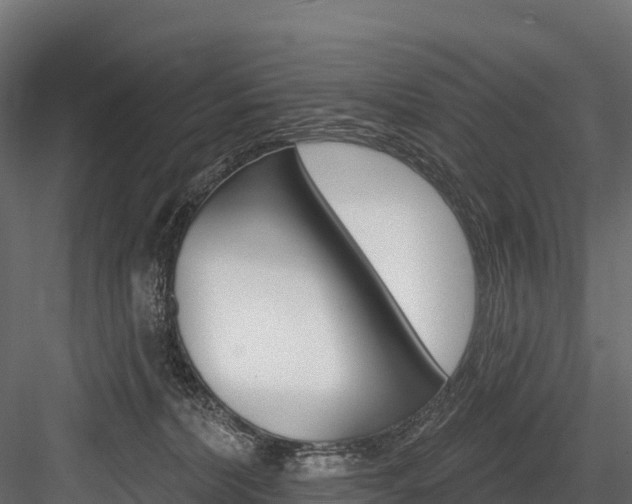 X0000084560228200702231010