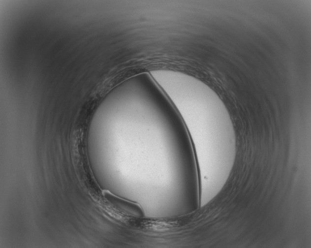 X0000084560229200702231010