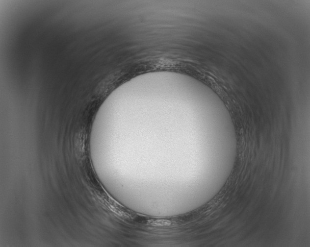 X0000084560230200702231010