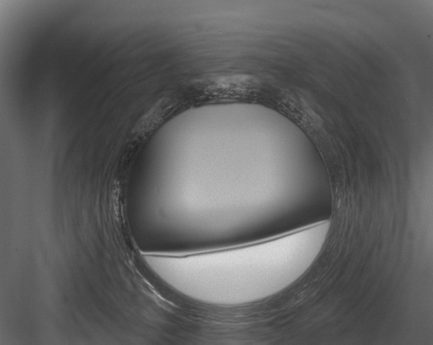 X0000084560231200702231010