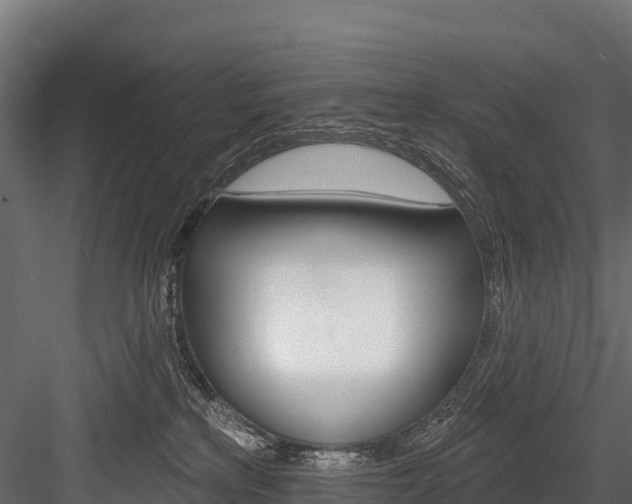 X0000084560233200702231010
