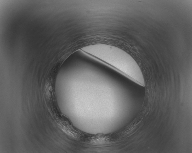 X0000084560235200702231010