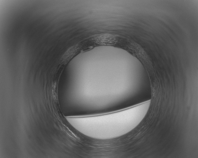 X0000084560239200702231010