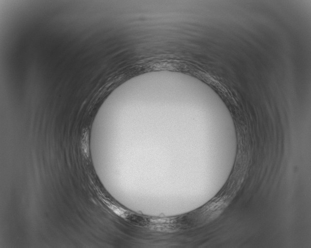 X0000084560240200702231010