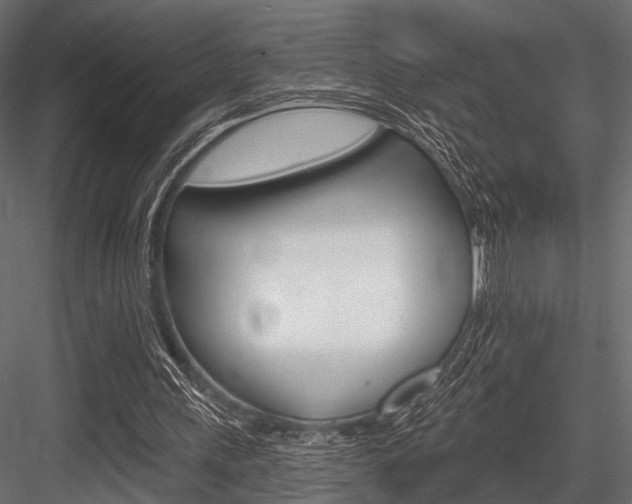 X0000084560243200702231009