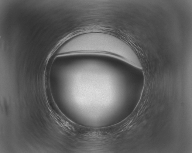 X0000084560244200702231009