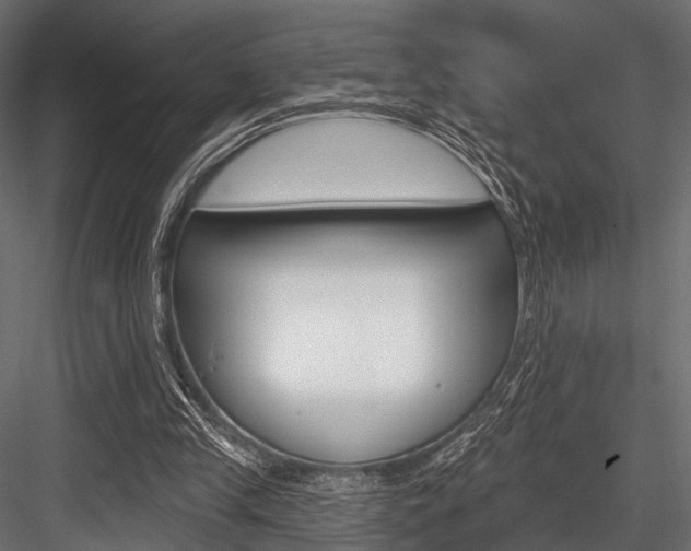X0000084560245200702231009