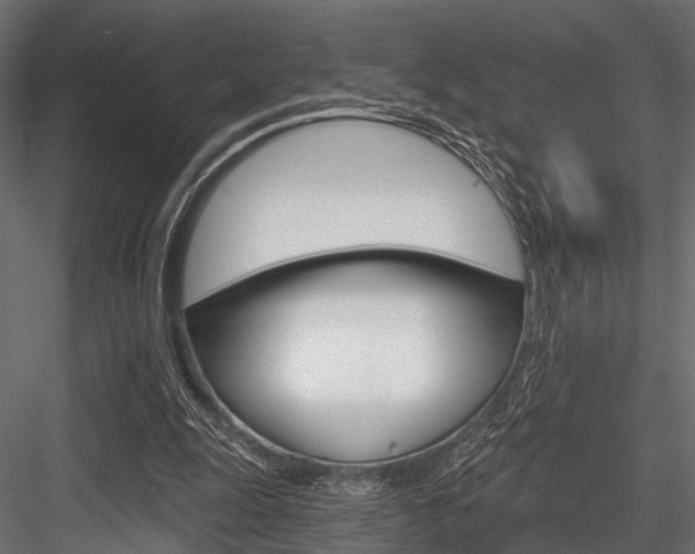 X0000084560247200702231009