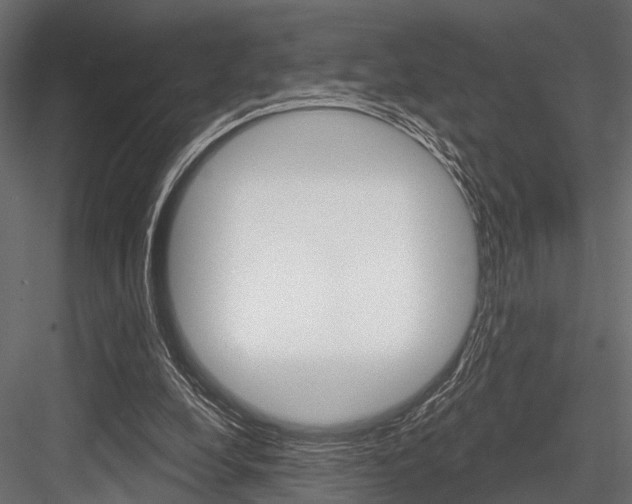 X0000084560248200702231009