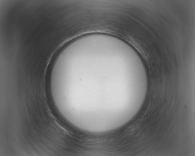 X0000084560252200702231009