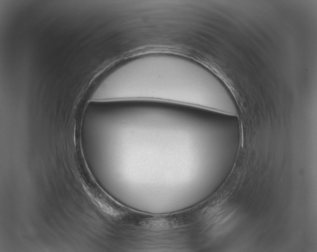 X0000084560253200702231009