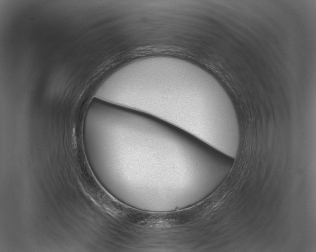 X0000084560254200702231009