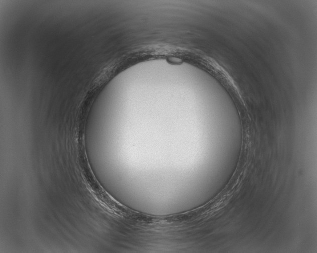 X0000084560257200702231009
