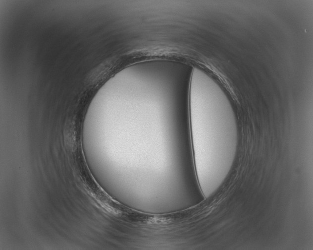 X0000084560261200702231009