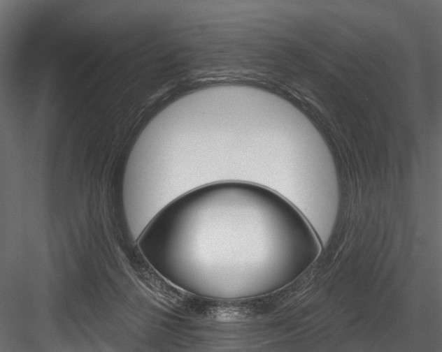 X0000084560264200702231009