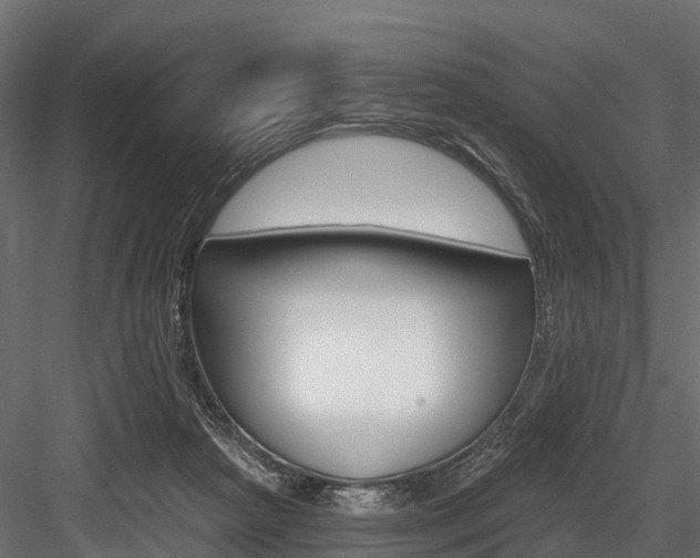 X0000084560265200702231009