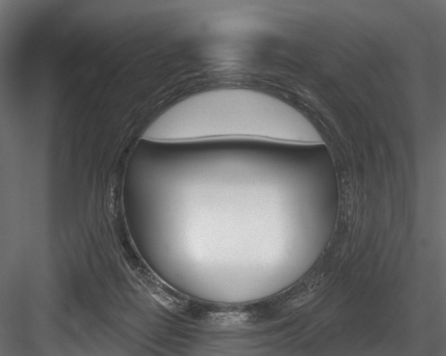X0000084560266200702231009