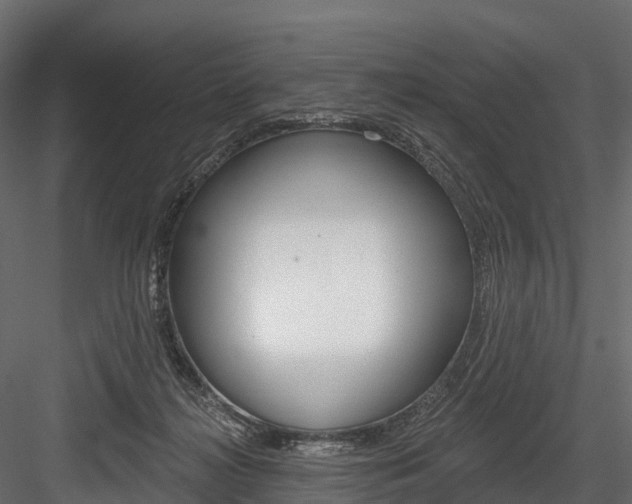 X0000084560268200702231009