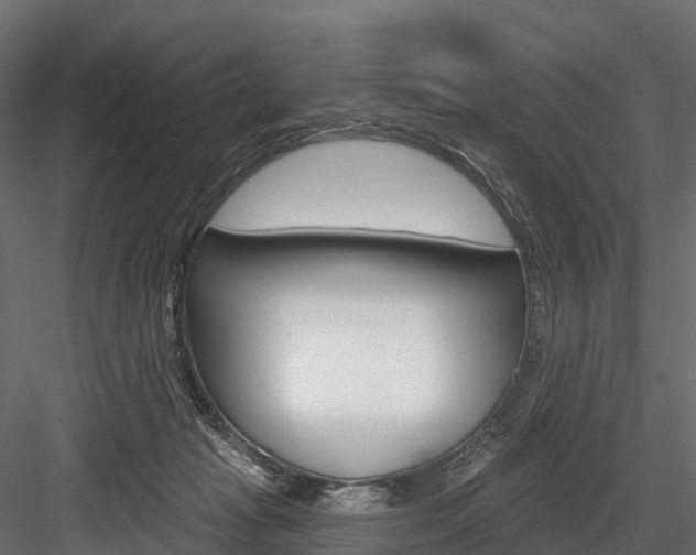 X0000084560269200702231009