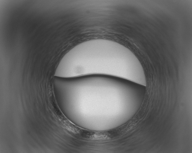 X0000084560270200702231009