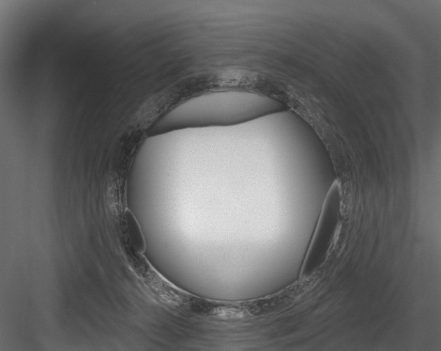 X0000084560272200702231009