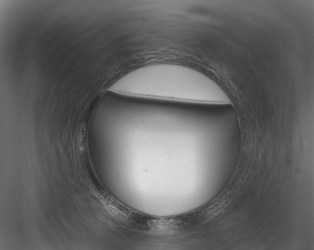 X0000084560273200702231009