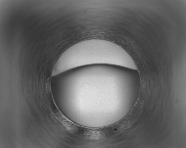 X0000084560276200702231009