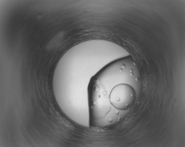 X0000084560278200702231009