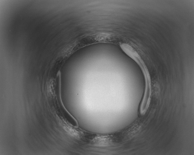 X0000084560280200702231010
