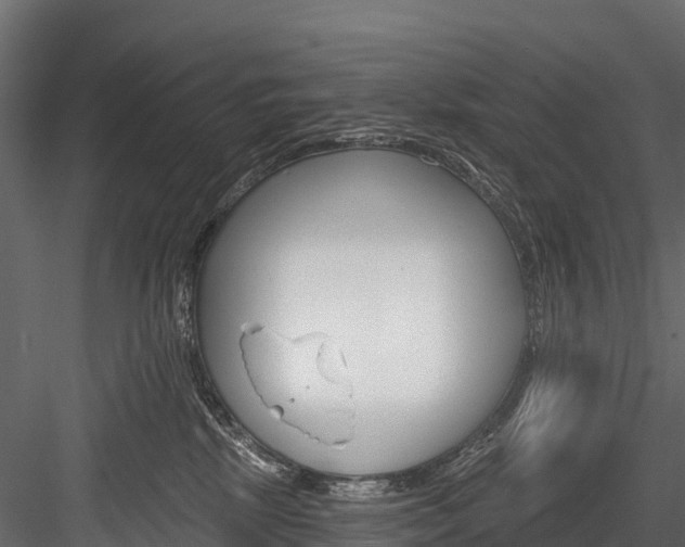 X0000084560281200702231010