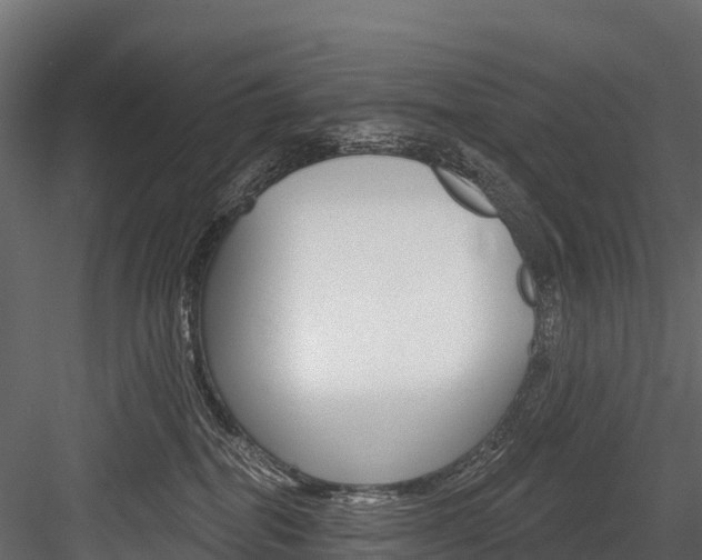 X0000084560282200702231010