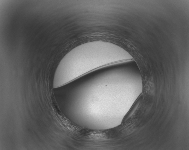 X0000084560283200702231010