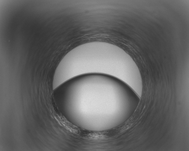 X0000084560284200702231010