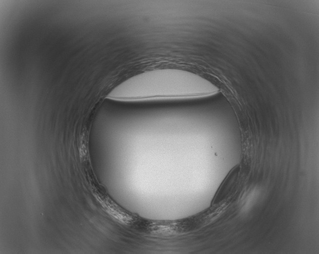 X0000084560285200702231010