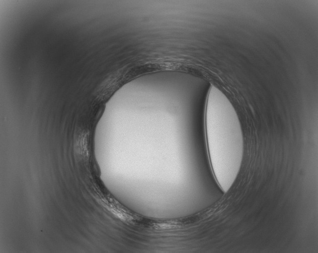 X0000084560286200702231010