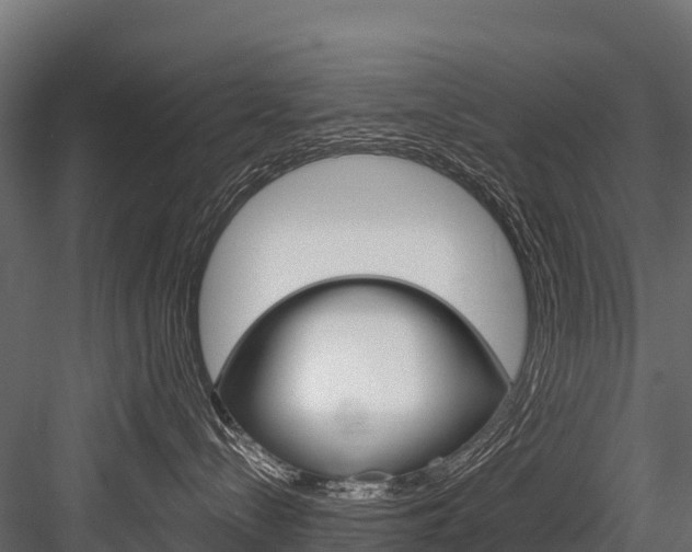 X0000084560288200702231010