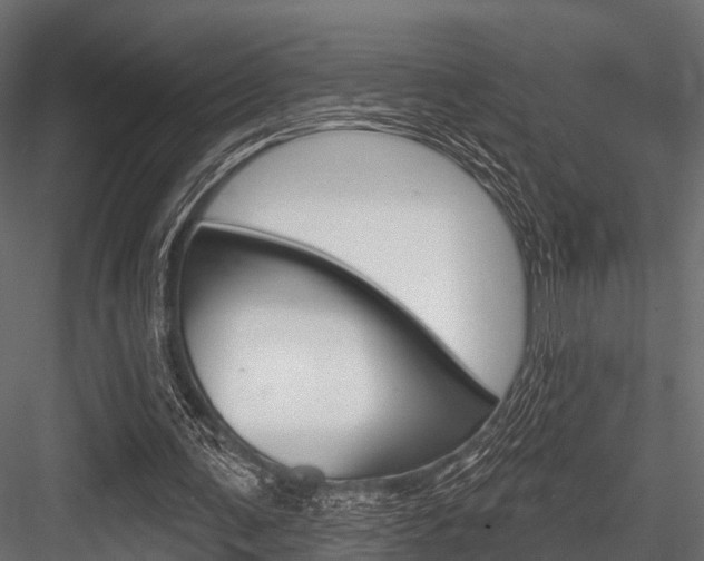 X0000084560291200702231009