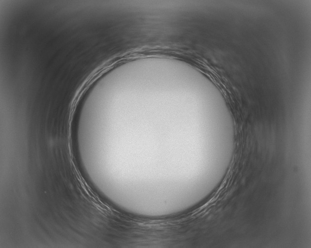 X0000084560293200702231009