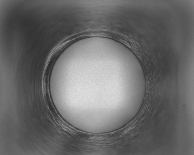 X0000084560294200702231009