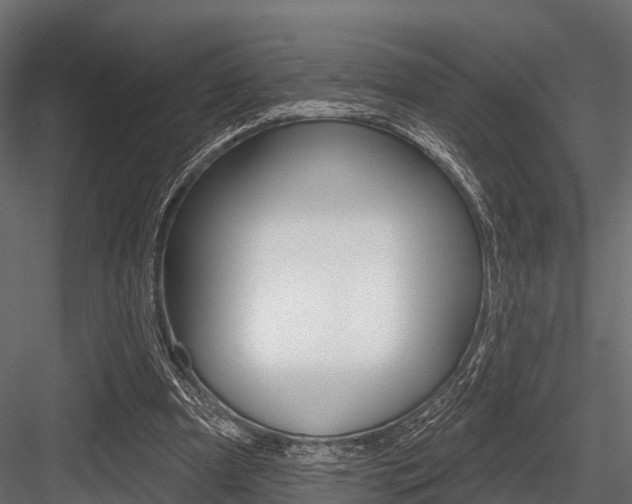 X0000084560297200702231009