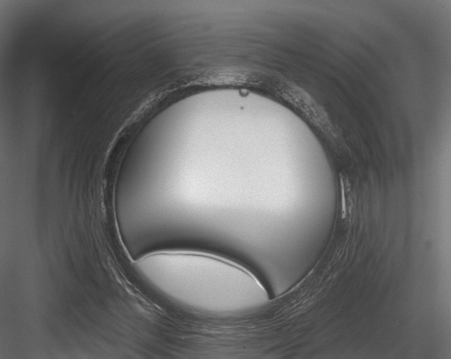 X0000084560300200702231009