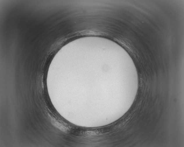 X0000084560302200702231009