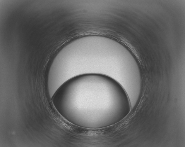 X0000084560305200702231009