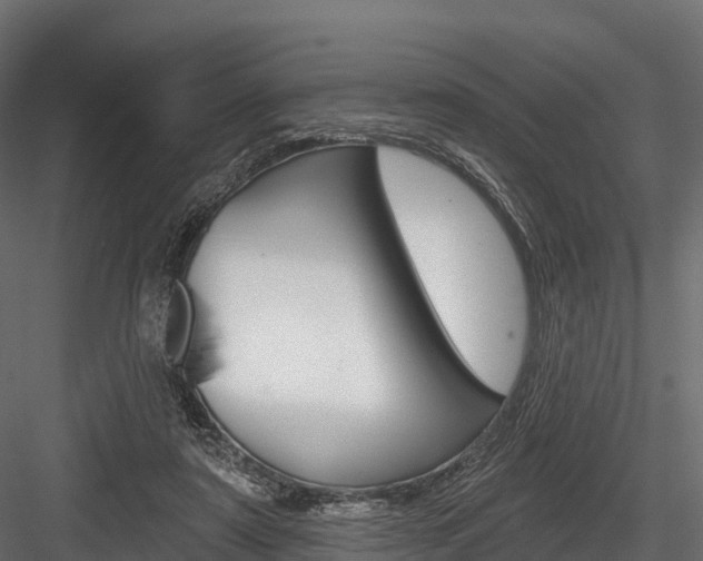 X0000084560307200702231009