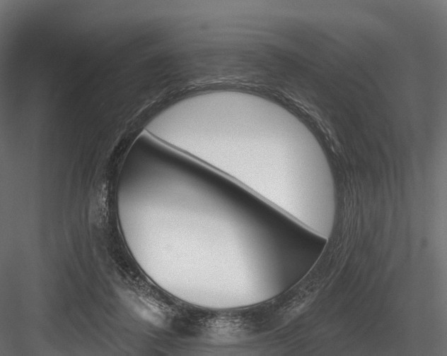 X0000084560308200702231008
