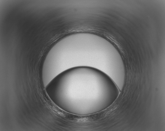 X0000084560309200702231008
