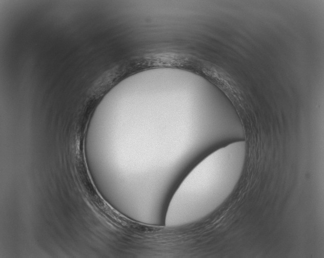 X0000084560310200702231008